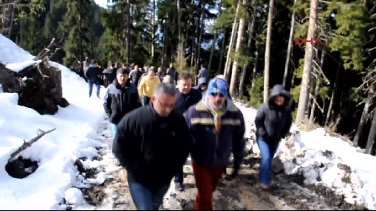 Artvin\'de Maden Sahasında Ağaç Kesimine Tepki Eylemi İşe Yaradı