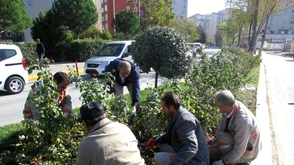 Beylikdüzü\'nün Yeşil Alanları Bakım Altında