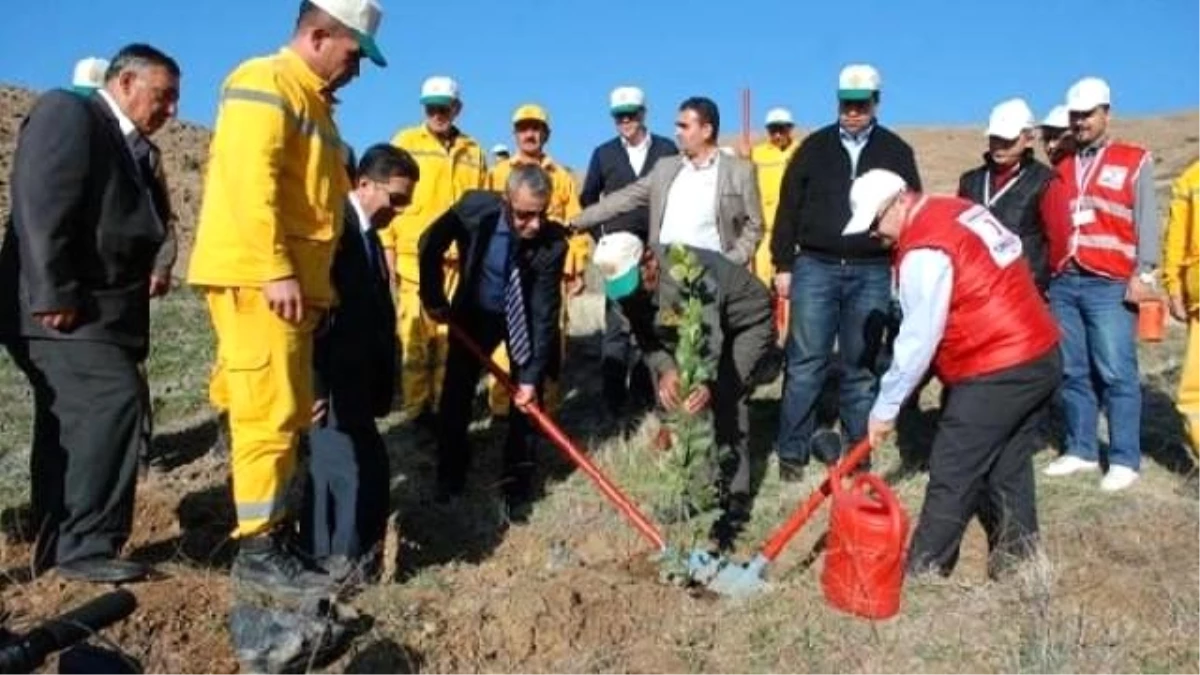 Kızılay Kahramanmaraş\'ta 20 Bin Fidan Dikti