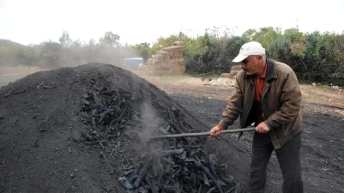 Mangalların Vaz Geçilmezi Kömürün Meşekkatli Yolculuğu