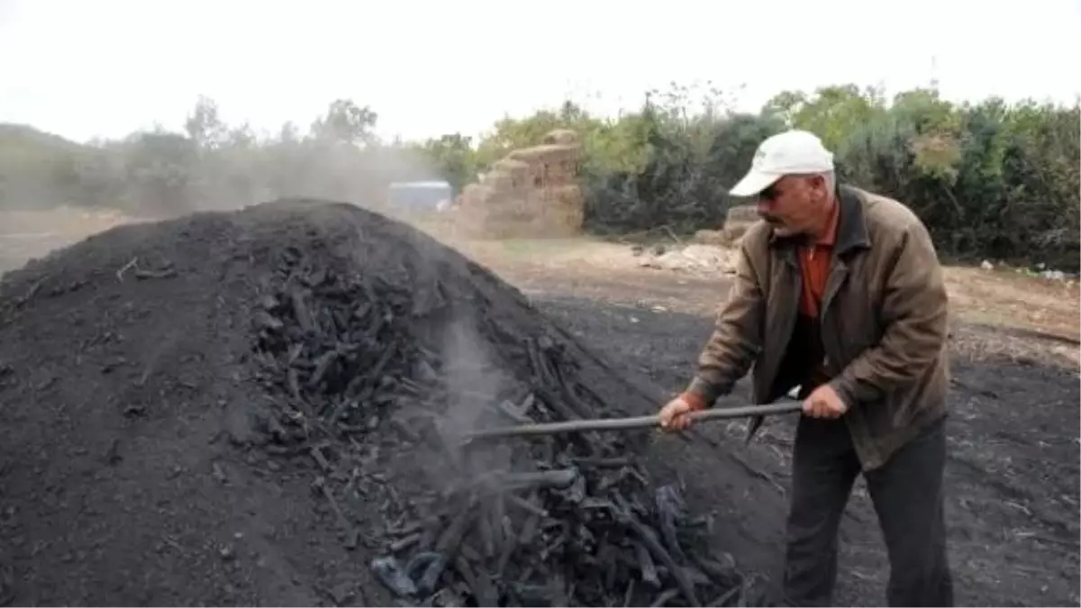 Mangalların Vaz Geçilmezi Kömürün Meşekkatli Yolculuğu