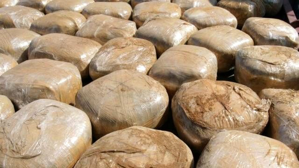 Arjantin\'de 8,5 Ton Uyuşturucu Ele Geçirildi