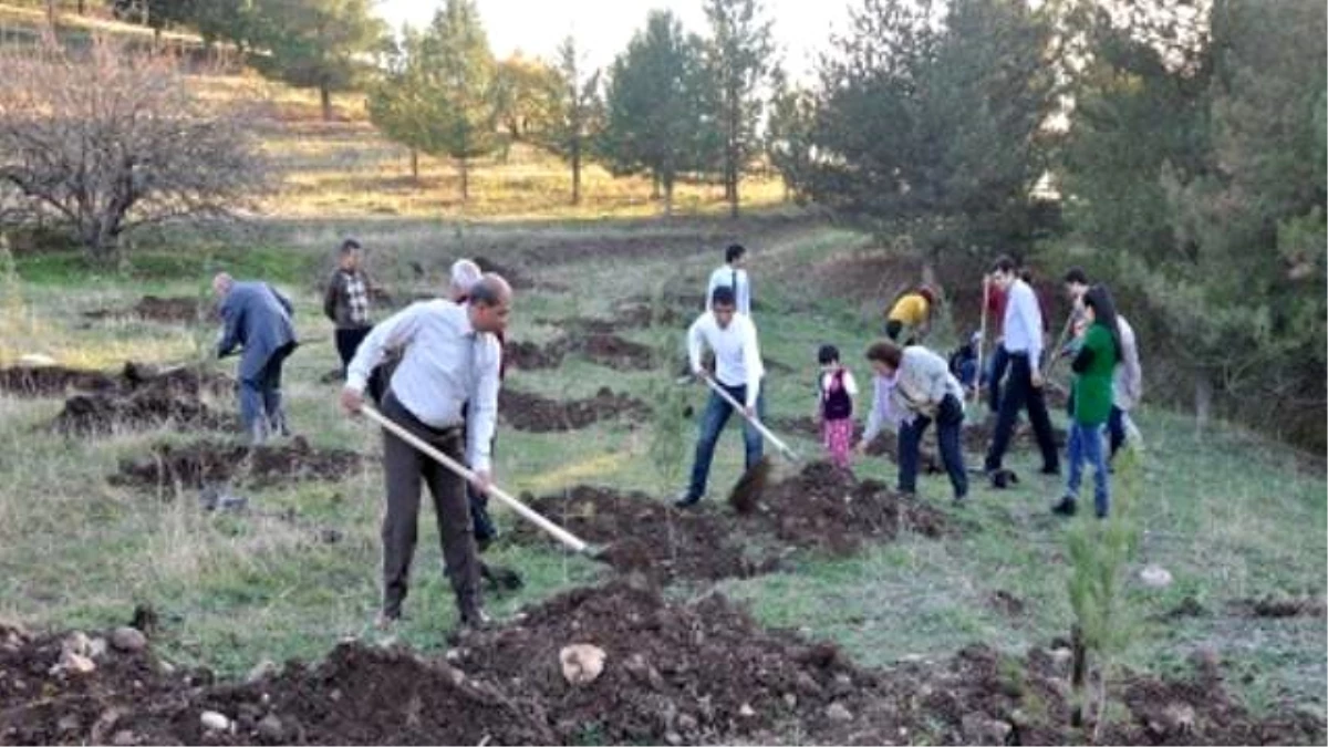 Diyarbakır\'da GARD Ormanı Fidan Dikimi Gerçekleştirildi