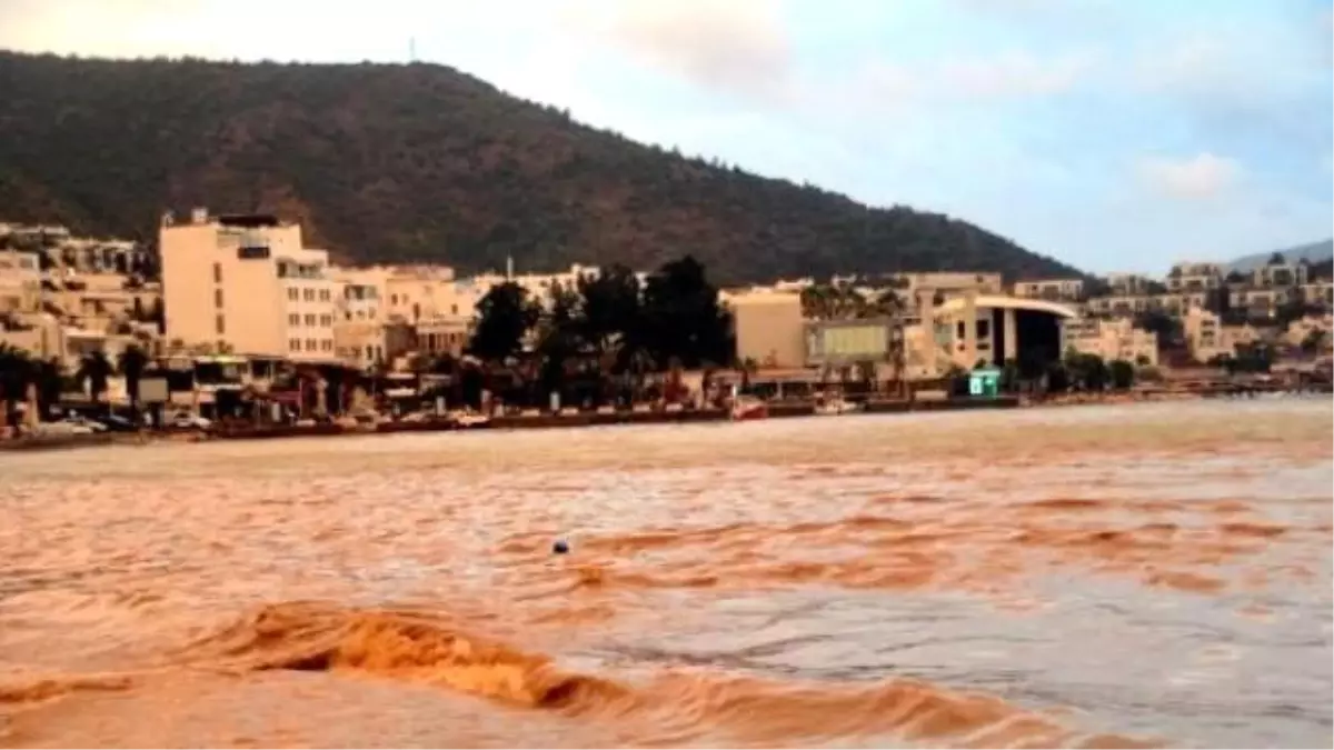 Hava Bir Anda Karardı, Deniz Kahverengine Boyandı