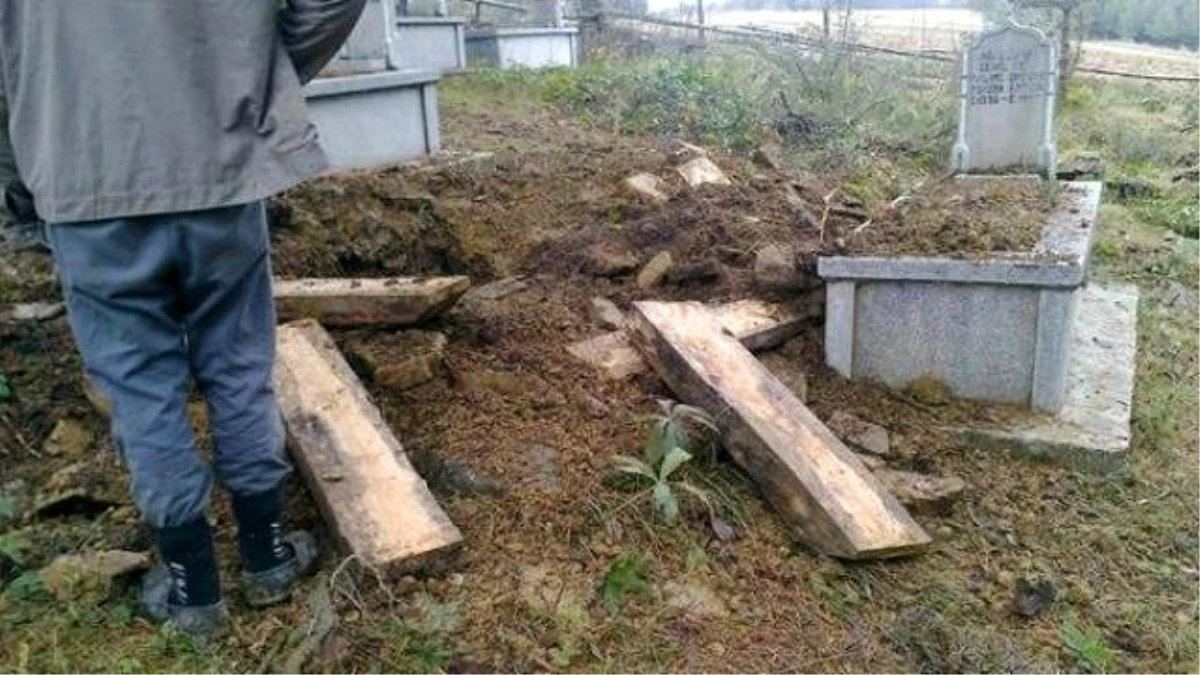 Kastamonu\'da Mezarın Ayı Tarafından Tahrip Edildiği İddiası