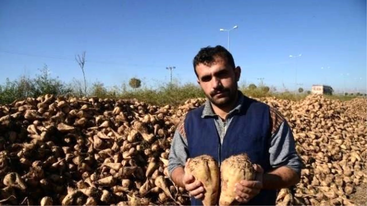 Kayseri Şeker\'in Desteği Köye Dönüşü Sağladı