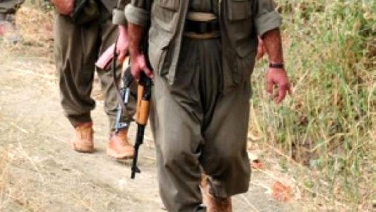 Polis ve Ailelerinin İkna Ettiği 2 PKK\'lı Teslim Oldu
