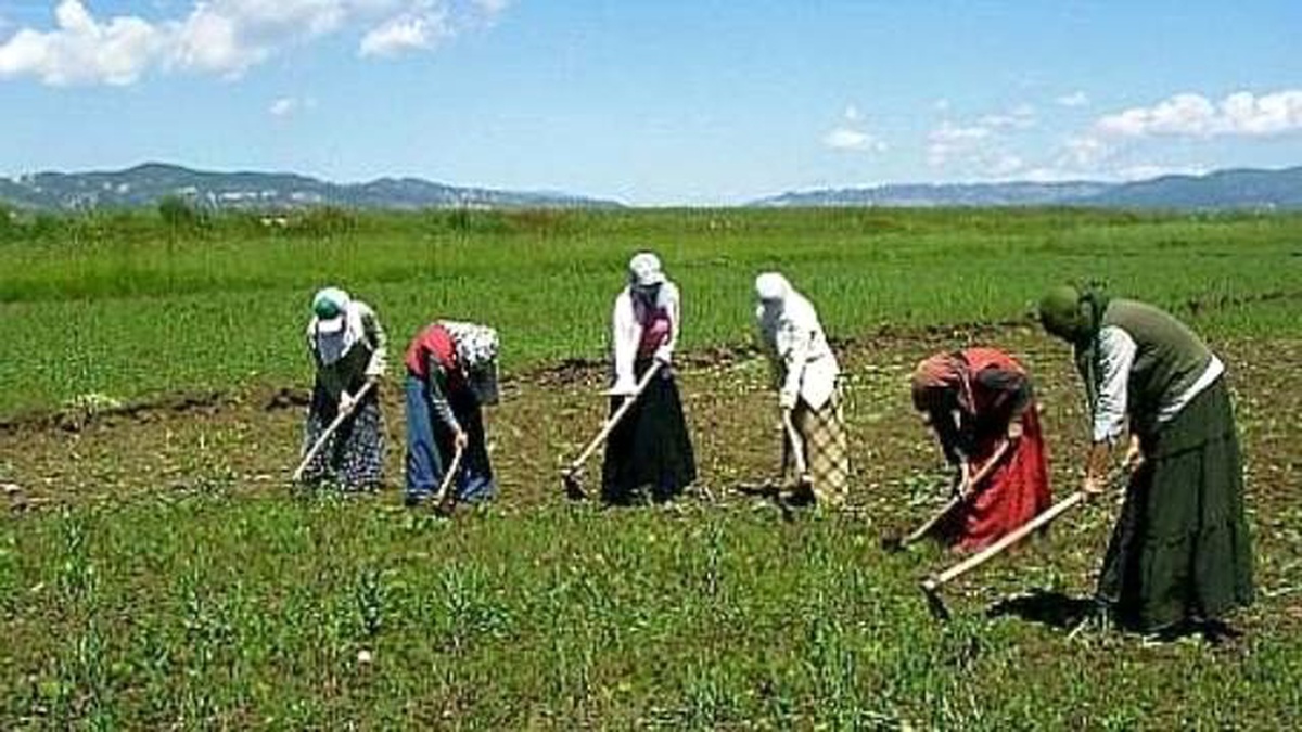 Mevsimlik Tarım İşçilerine Yönelik TBMM Kararı Resmi Gazete\'de