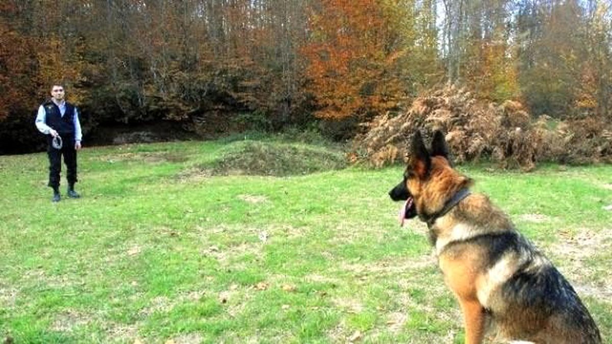 AFAD, Komando Gibi Eğitiliyor