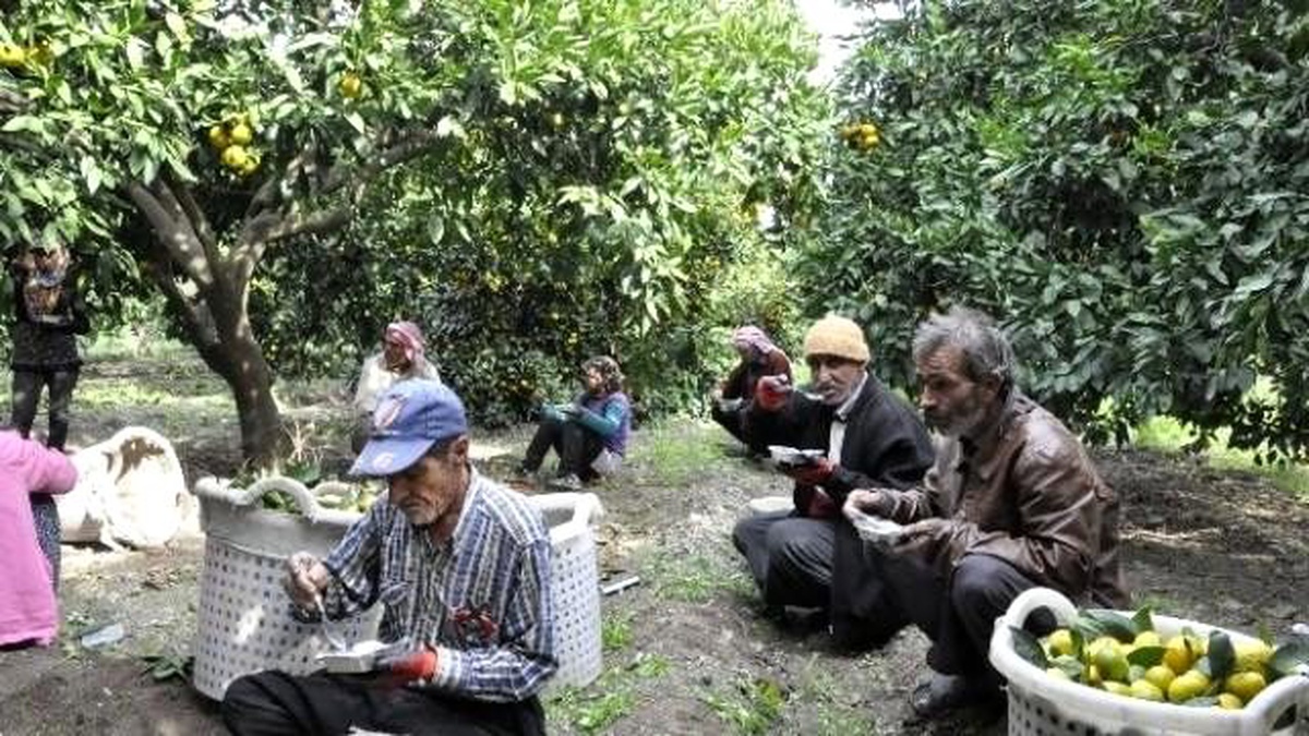 Sağlık Çalışanları Tarım İşçilerine Aşure Dağıttı