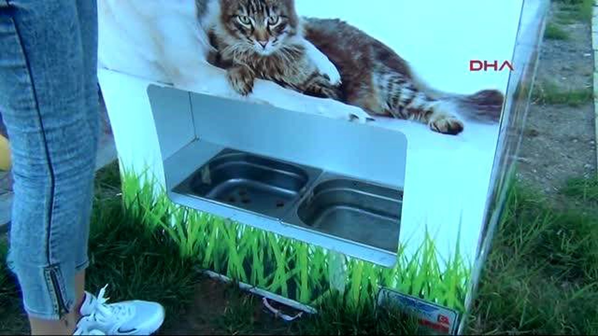 Samsun\' da Sokak Hayvanları İçin Mamamatik
