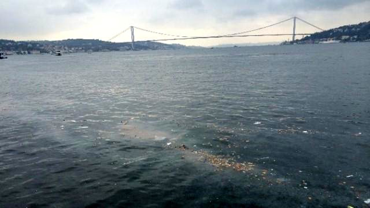 Denizanaları Boğazı İstila Etti