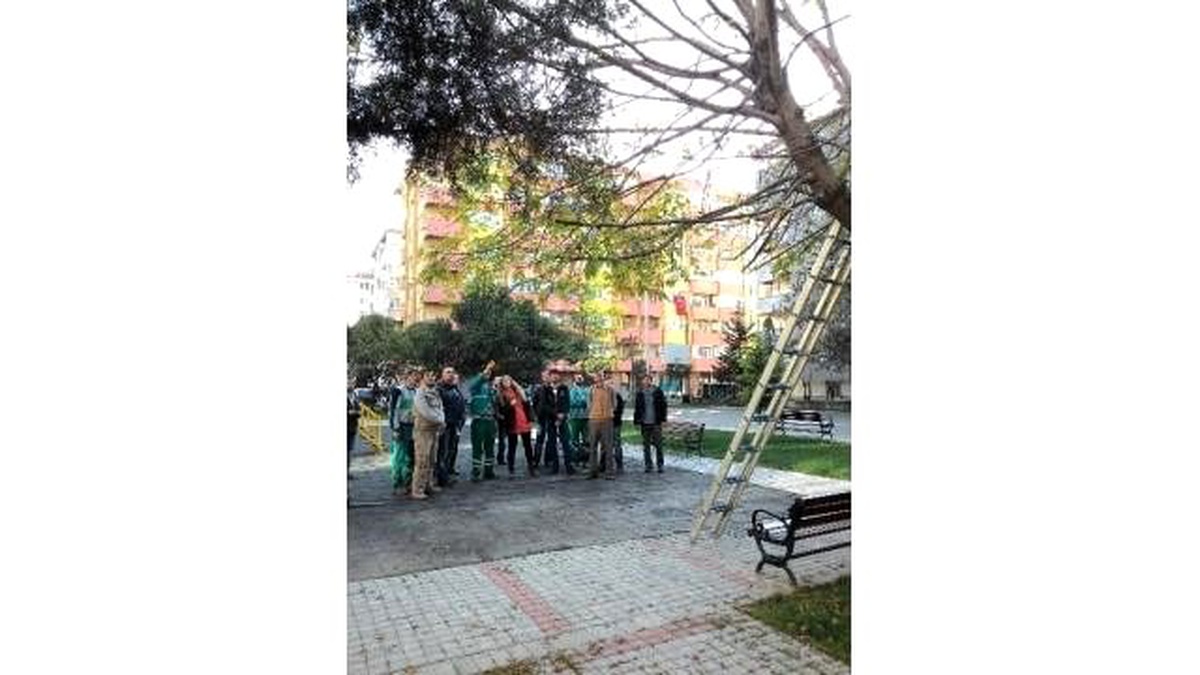 Park Bahçe Çalışanları Uygulayarak Öğreniyor