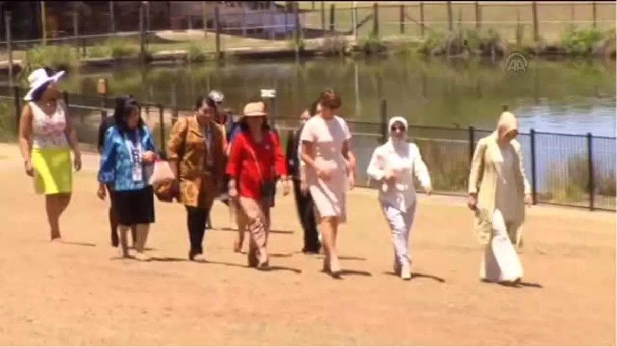 Sare Davutoğlu ve Zeynep Babacan, Koala Parkını Gezdi