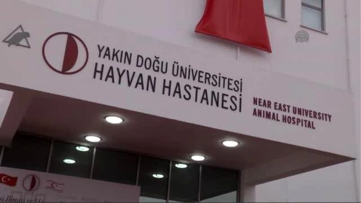 YDÜ\'de Veteriner Fakültesi ve Hayvan Hastanesi Açıldı