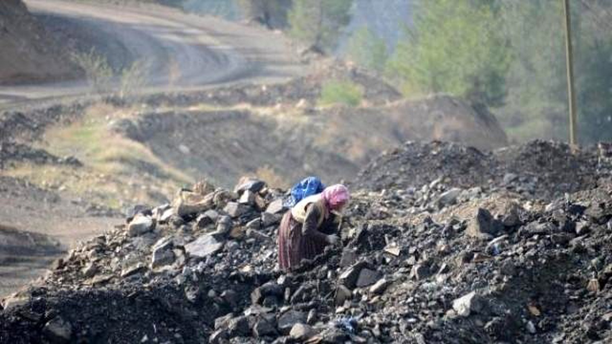 Facia Ocağından Çıkan Hafriyatta Kömür Topluyorlar