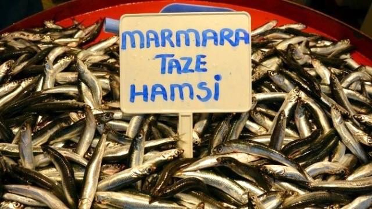 Hamsi Fiyatları Şaşırtıyor