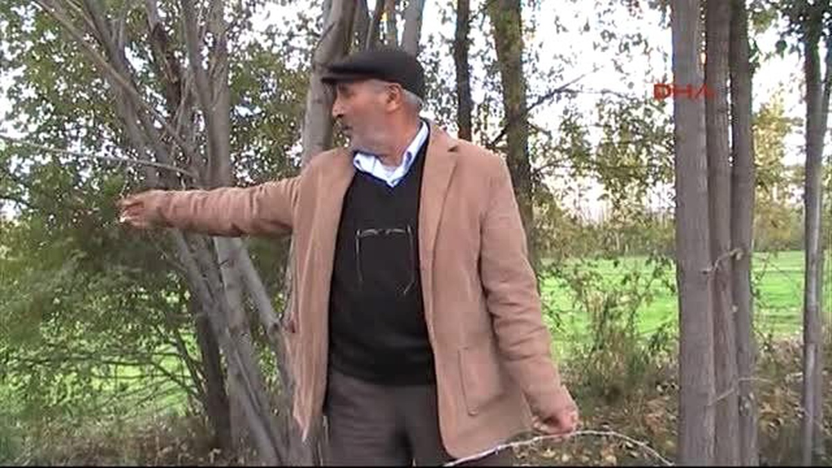 Iğdır Köpekleri Uyutup İnekleri Çaldılar