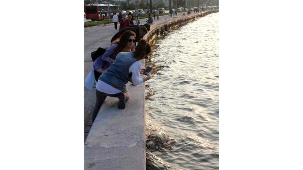 İzmir\'de 2 Ölü Caretta Caretta Sahile Vurdu