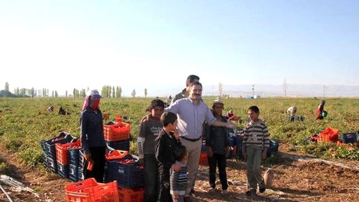 MEVTİDER: Mevsimlik İşçiler Kayıt Altına Alınsın