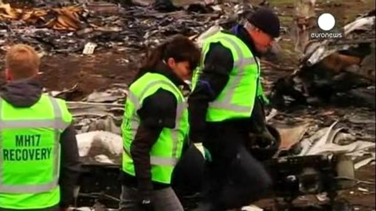 Mh17 Uçağının Enkazı Toplanıyor