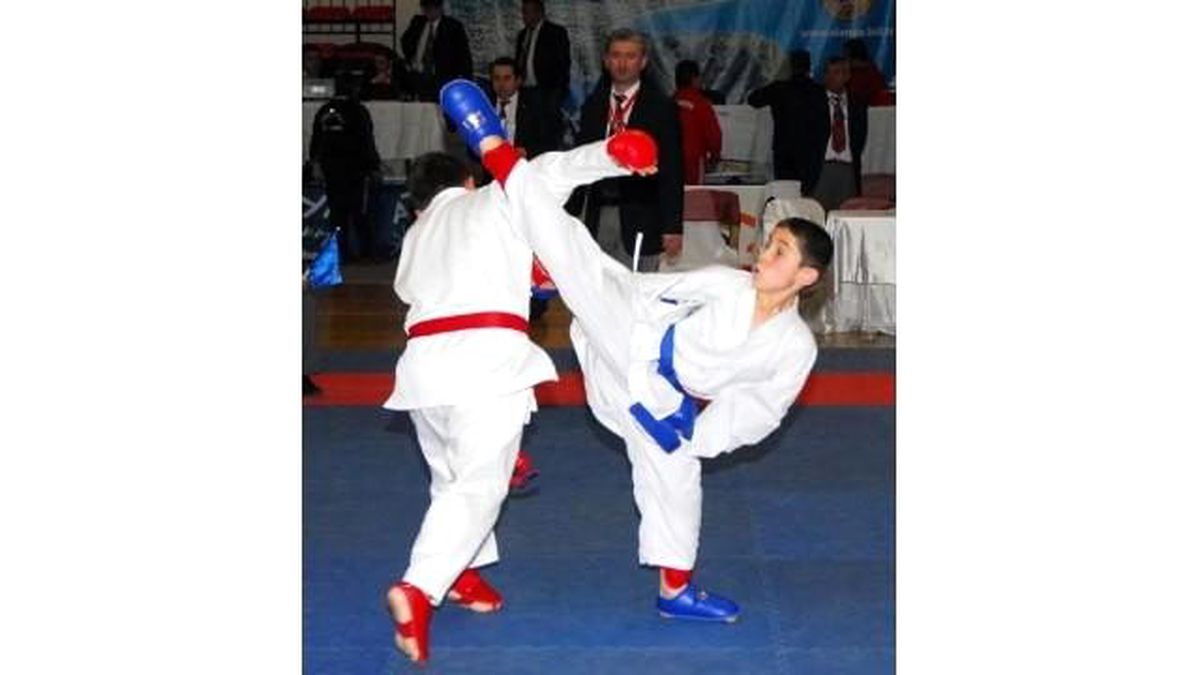 Türkiye Karate Federasyonu, Her İlde Yapılanıyor