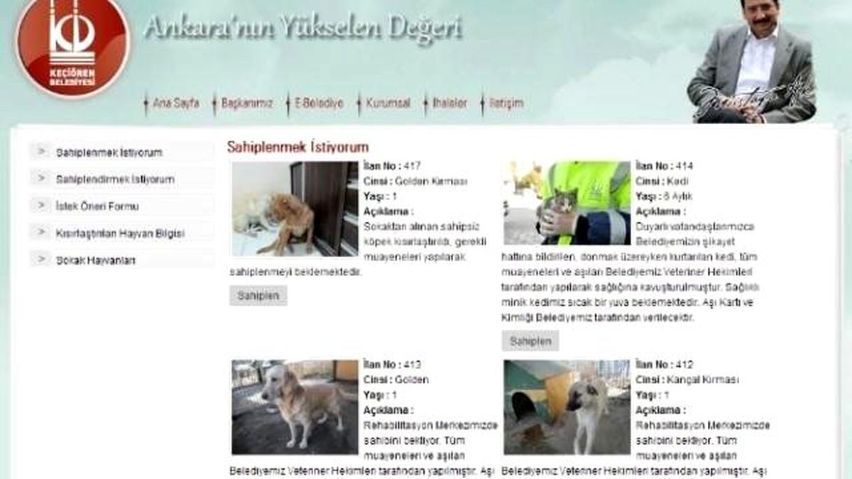 Bu İnternet Sitesi Sahipsiz Hayvanlara Yuva Buluyor