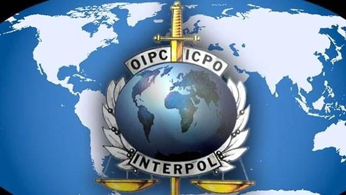 Interpol Doğa Düşmanlarına Savaş Açtı