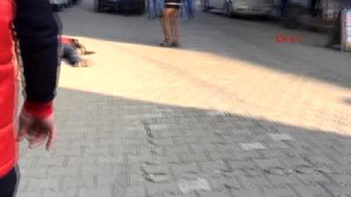 Kastamonu\'da Silahlı Kavga: 1 Ölü, 5 Yaralı