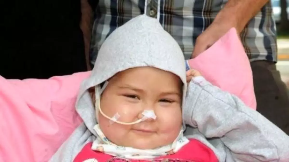 Minik Fatoş Hastaneye 30 Dakika Mesafede Oturacak