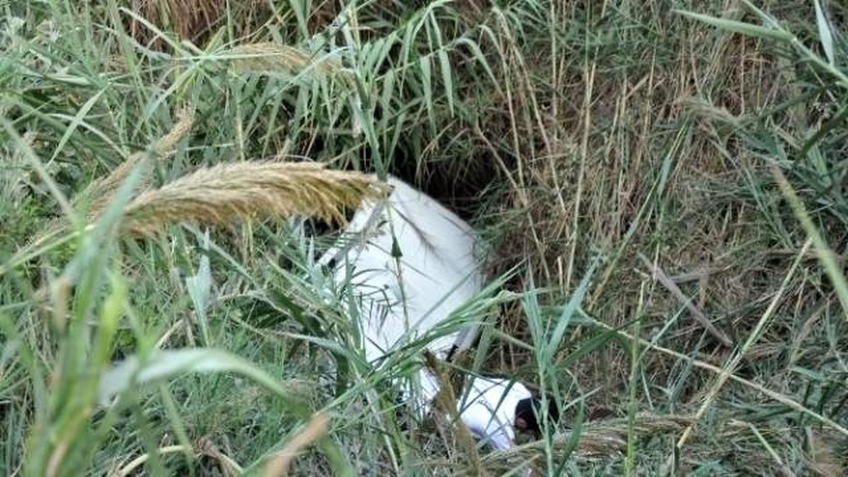 Sınavdan Çıkan Öğrenciler Kaza Yaptı: 1 Ölü, 4 Yaralı