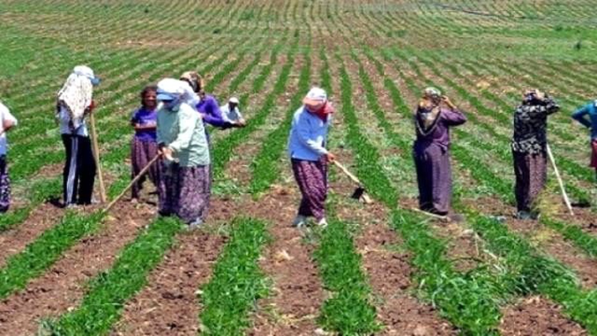 Tzob Genel Başkanı Bayraktar Açıklaması
