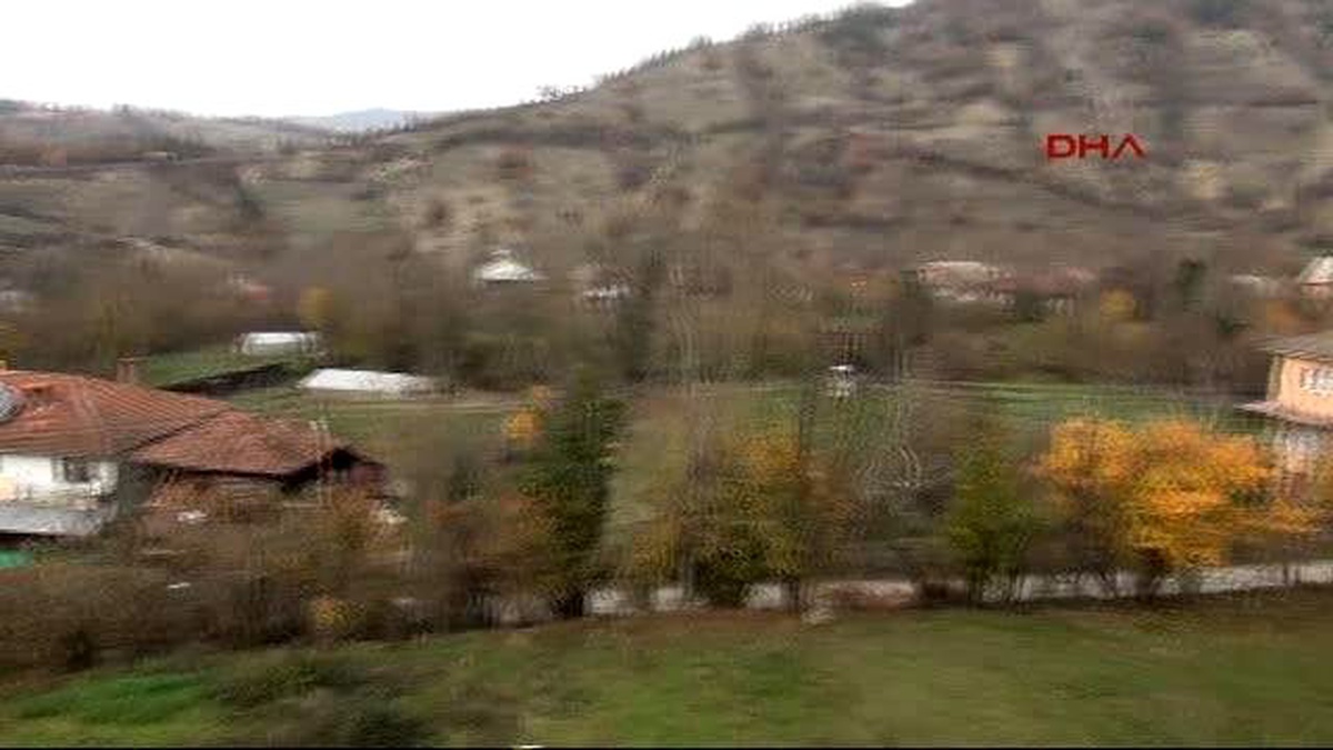 Otomobilin Önünü Kesen Ayı Korkuttu