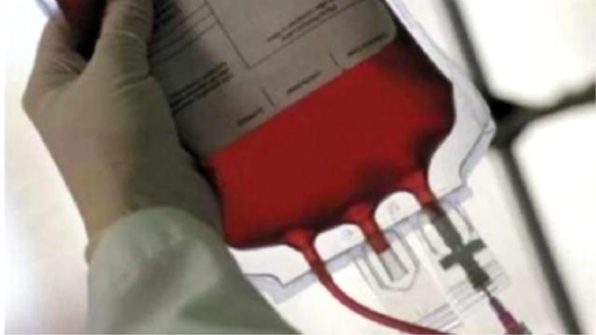 Nusaybin\'de Kan Bağışı Kampanyası Düzenlendi