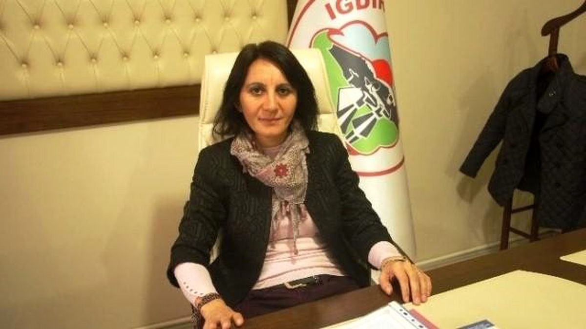 Iğdır Belediyesi Eş Başkanının Aracı Silahlı Kişilerce Durduruldu" İddiası