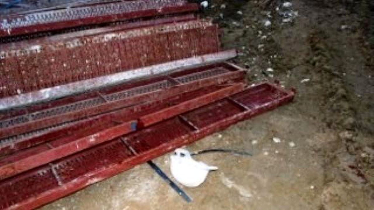 İşçinin Bareti Hayat Kurtardı