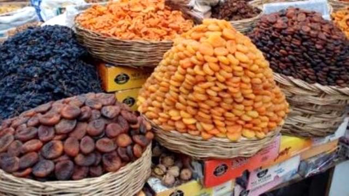 Ulusal Kayısı Çalıştayı Başladı