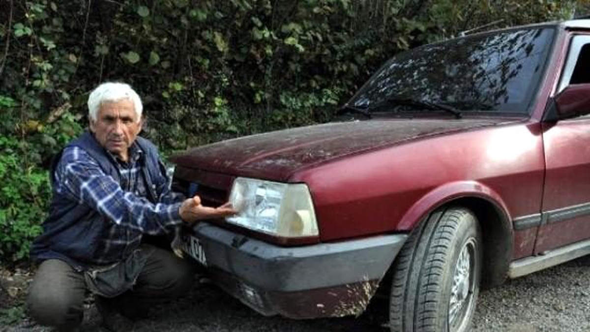 Otomobilin Önüne Çıkan Ayı Korkuttu