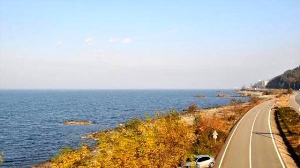Rize Havalimanı Çed Toplantısında Gerginlik