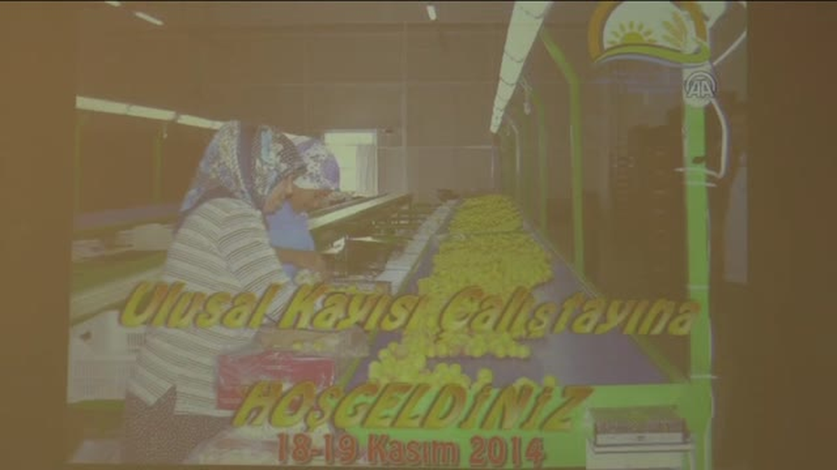 Ulusal Kayısı Çalıştayı Başladı