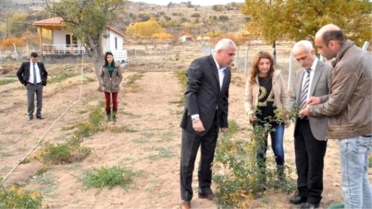 Yozgat\'ta Çiftçiler Tarım Danışmanı Ziraat Mühendisleriyle Daha Kaliteli Ürün Yetiştirecek