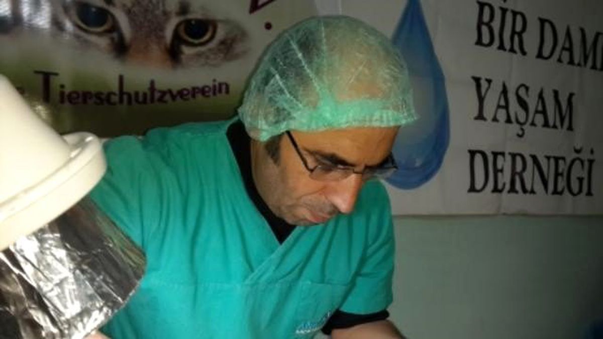 100 Hayvan Kısırlaştırıldı
