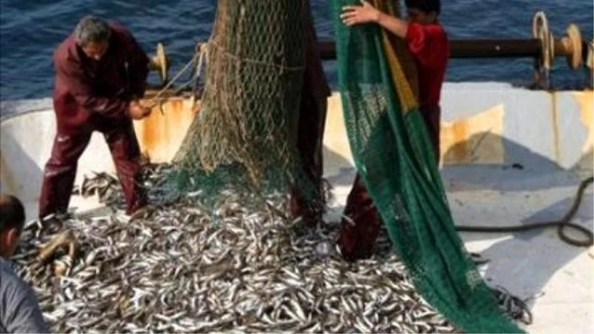 Balıkçılar Arz-talep Dengesini Sağlayamamaktan Şikayetçi