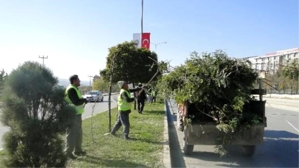 Sungurlu Belediyesi\'nden Kış Hazırlığı