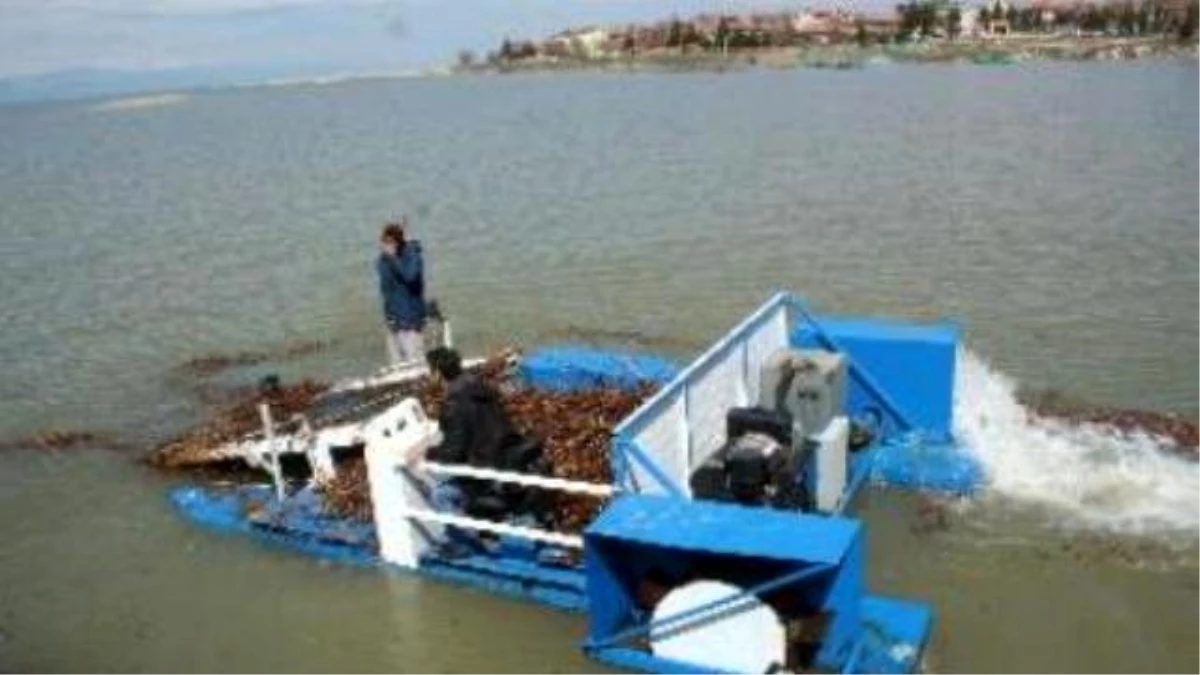 Beyşehir Gölü Kıyıları Sazlardan Temizleniyor