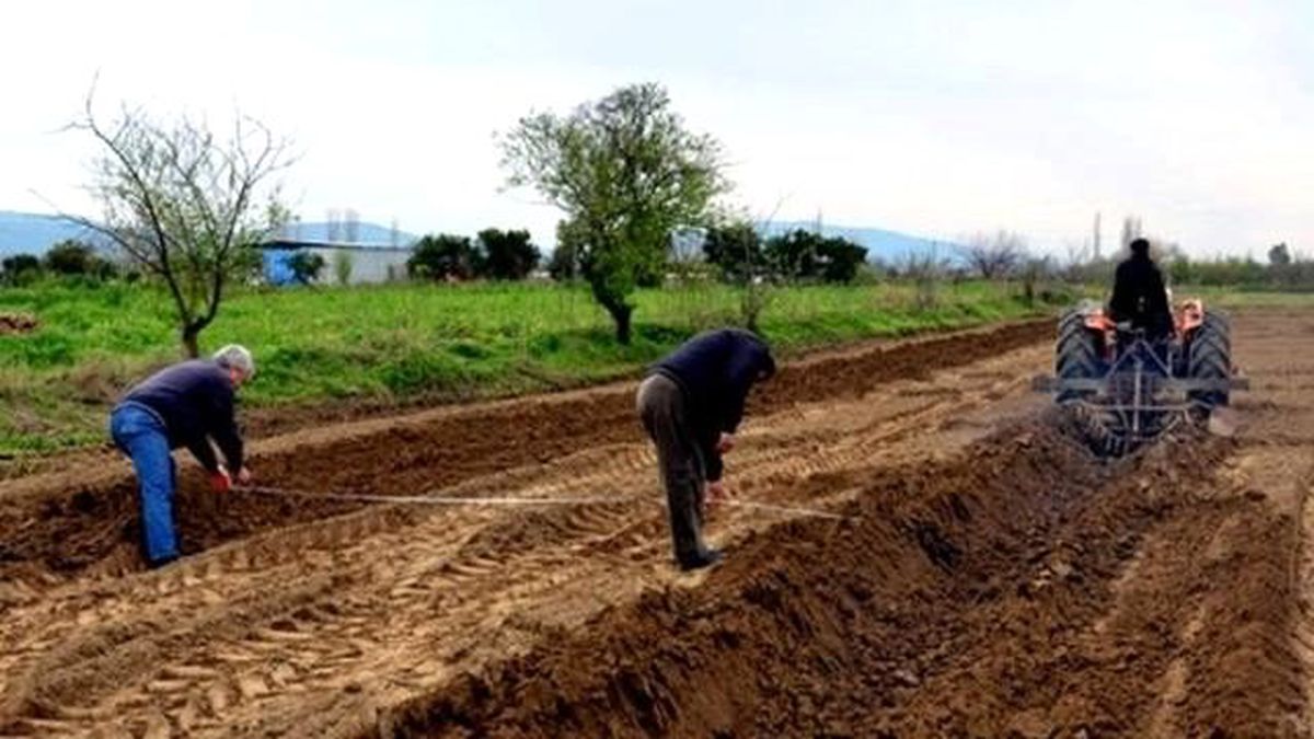 Çks Kayıtları 31 Aralık\'ta Sona Erecek