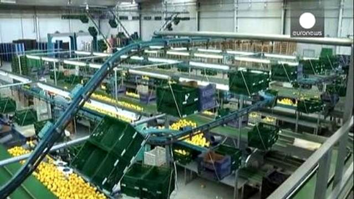 Euro Bölgesi Ekonomisi Yavaşladı