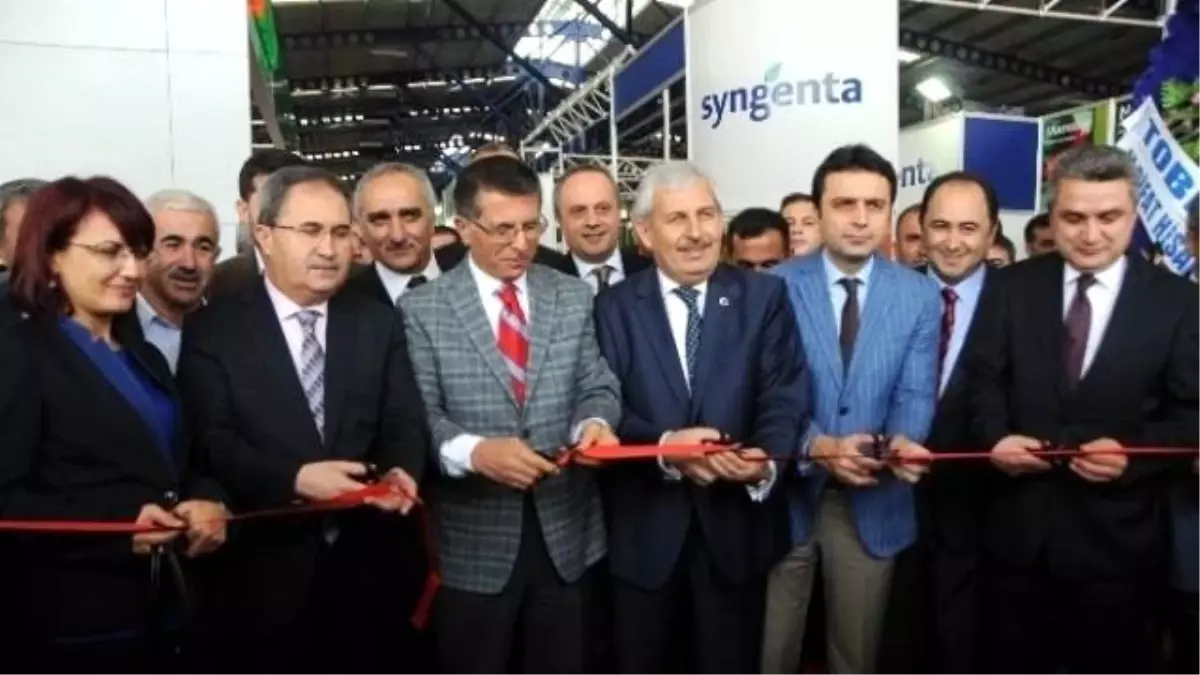 İki Dakikada 995 Gram Domates Yiyen Kadın Birinci Oldu