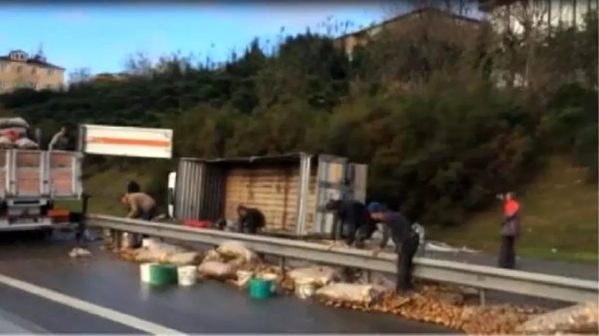 İstanbul\'da Patates Trafiği