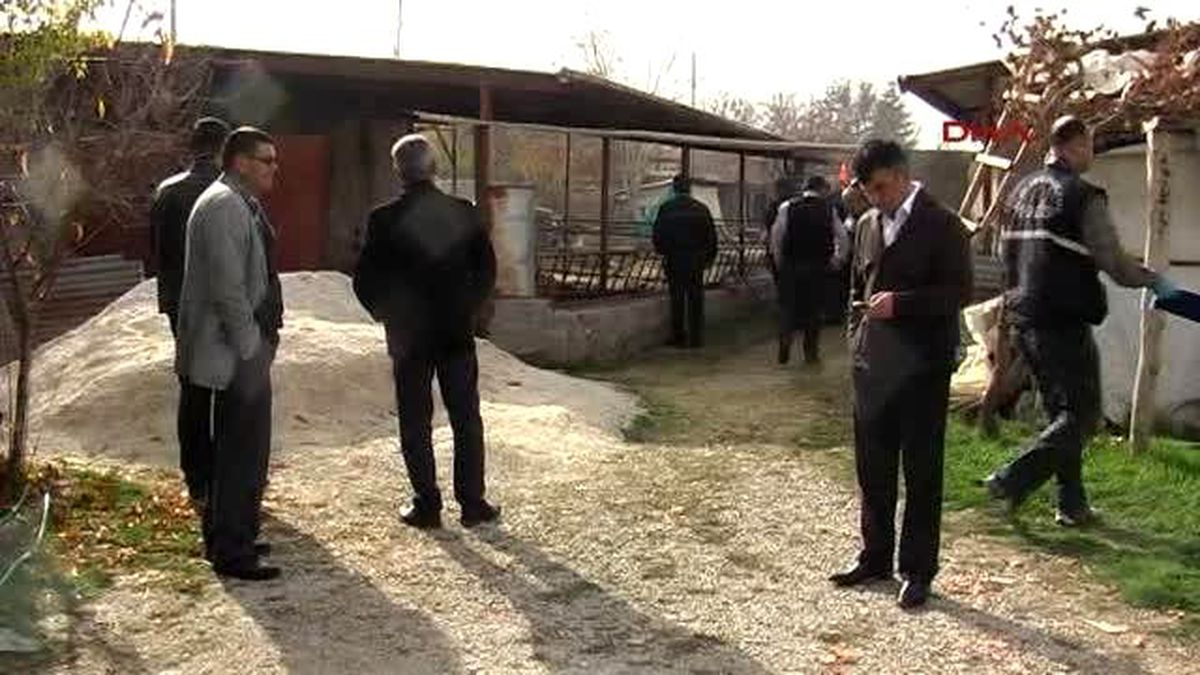 Ereğli\'de İneğin Teptiği Yaşlı Adam Öldü